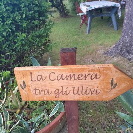 La Camera Tra Gli Ulivi Dream Finale Finale Ligure Exterior foto