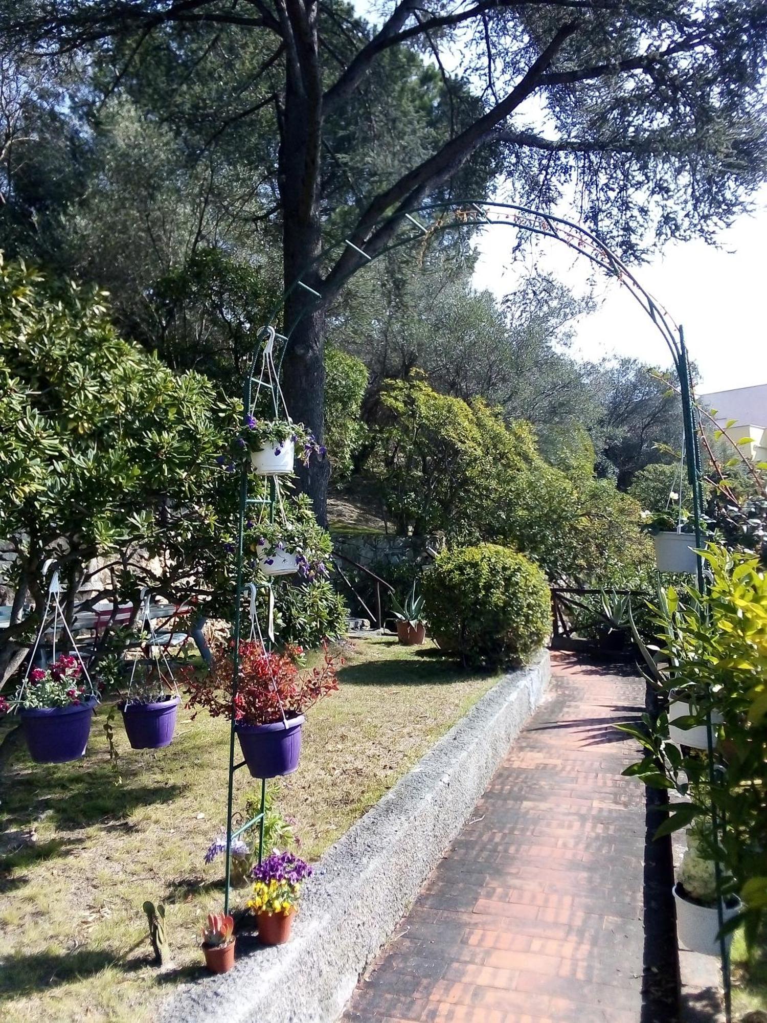 La Camera Tra Gli Ulivi Dream Finale Finale Ligure Exterior foto