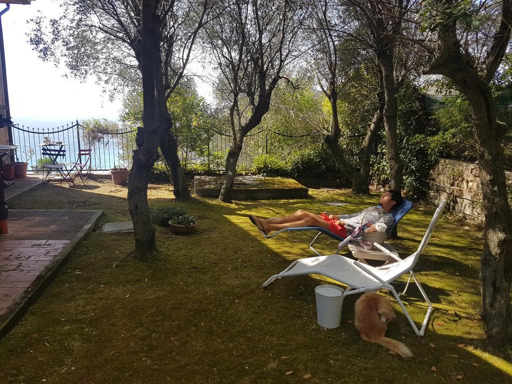 La Camera Tra Gli Ulivi Dream Finale Finale Ligure Exterior foto
